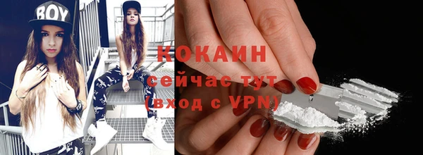 молекула духа Белокуриха