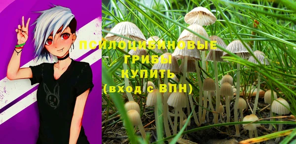 винт Белоозёрский