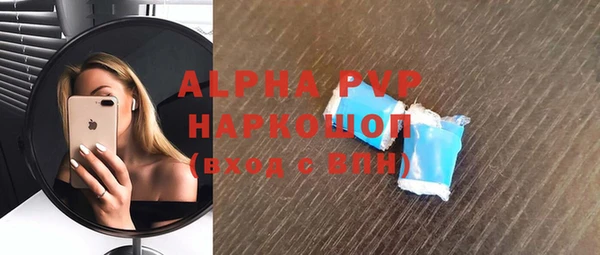 гидра Снежногорск