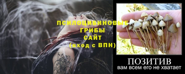 молекула духа Белокуриха