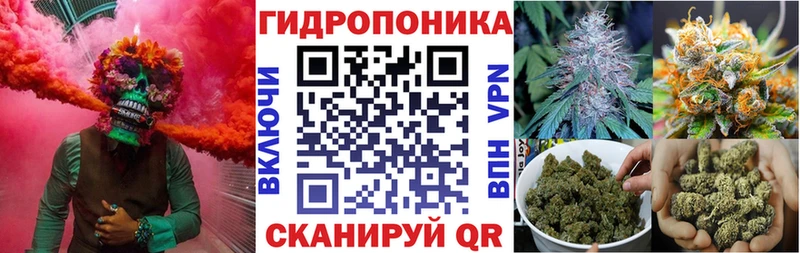 Каннабис OG Kush  как найти   Коммунар 